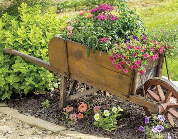 Designing your garden to please all five senses